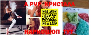 сатива Славгород