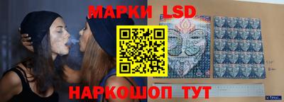 сатива Славгород