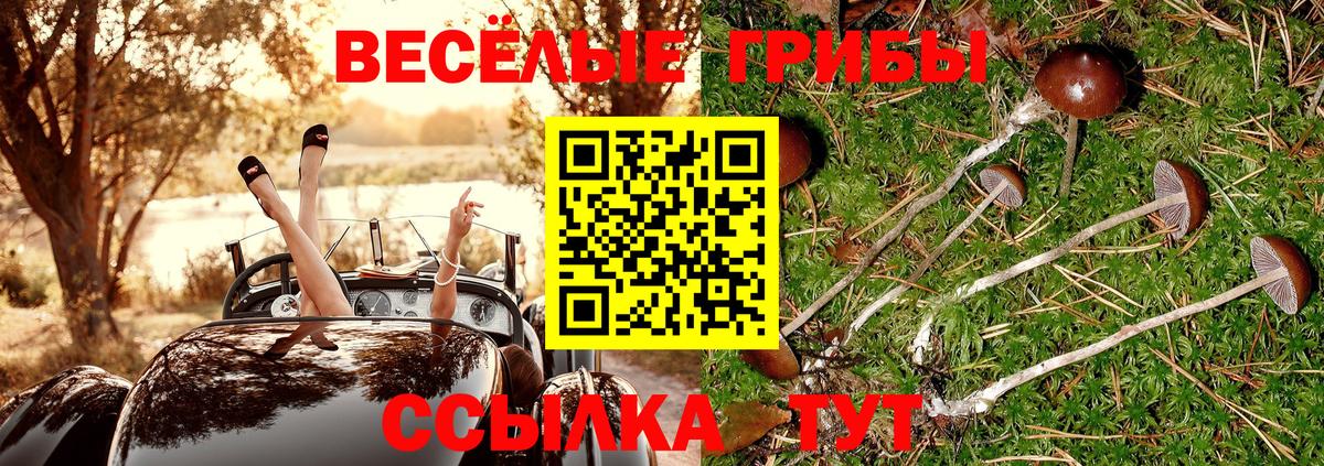 Псилоцибиновые грибы MAGIC MUSHROOMS Саранск