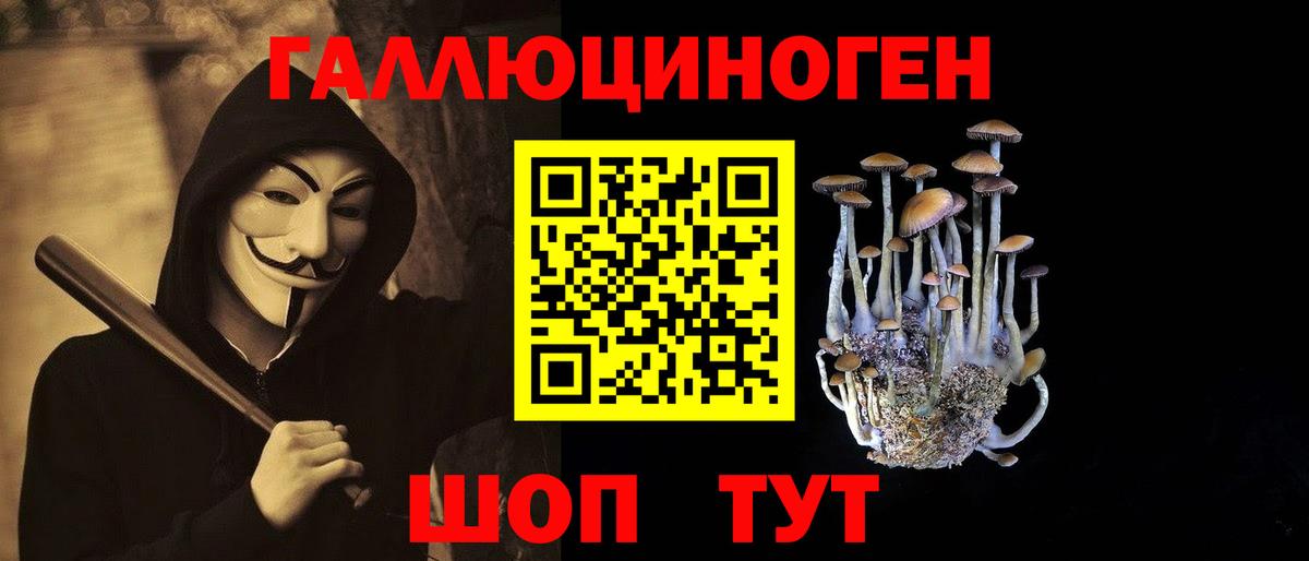 Саранск  купить закладку  Вход с VPN  Псилоцибиновые грибы GOLDEN TEACHER 